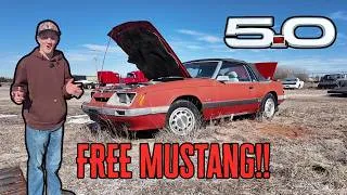 Thumbnail: FREE 5.0 Mustang! 🐎