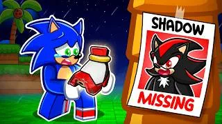 Thumbnail: Shadow Is MISSING..
