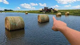 Thumbnail: 10 Inches of Rain Destroyed My Hay Crop
