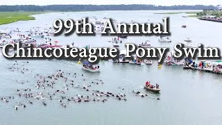 Thumbnail: 2024 Chincoteague Pony Swim [Drone]