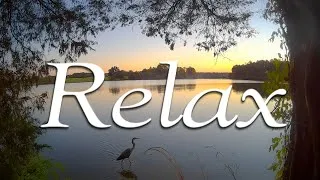 Thumbnail: Chill Beats & Timelapses | Lake Sunrises, Sunsets, Wildlife