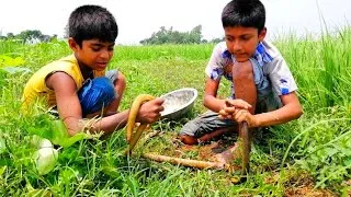 Thumbnail: New Fishing in Paddy Field - Eel Fish Catching Techniques - SP Fishing World