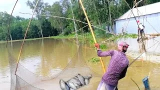 Thumbnail: Best Fishing Method in Bangladesh Village - SP Fishing World