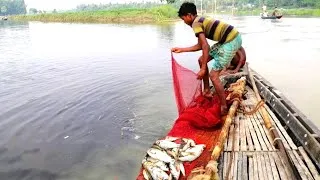 Thumbnail: Fishing in Village River | Best Fishing in Bangladesh Village | SP Fishing World