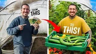 Thumbnail: How 20 Minutes A Day Will Feed You For A Year