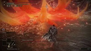 Thumbnail: Elden Ring - Malenia - RL118 - No Ashes/Summons/Shields/Consumables/Physick. Med Load/Scimitar Only