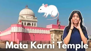 Thumbnail: The Rat Temple: The Strangest Hidden Gem I've Ever Visited | करणी माता मंदिर