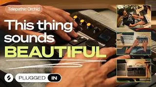 Thumbnail: Kevin Parker Built a Synth and It's Actually Incredible: Telepathic Orchid Reviewed (Plugged In)