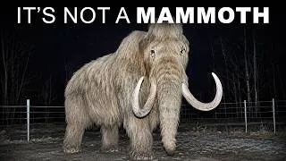 Thumbnail: The Woolly Mammoth Resurrection Has a Massive Problem - And Nobody is Talking About it