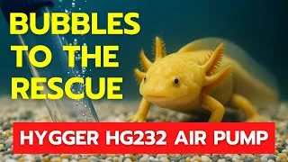 Thumbnail: Revitalizing My Tank | Hygger HG232 Aquarium Air Pump Review