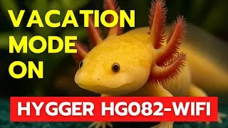 Thumbnail: Smart Feeding… Done Right | Hygger HG082 WiFi Automatic Fish Feeder Review