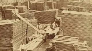 Thumbnail: August Goodman - The Seed That Sprouted Timberland