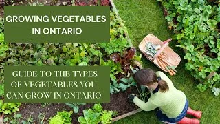Thumbnail: Growing Vegetables in Ontario | Canada | Grow vegetables at home | 2025