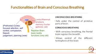 Thumbnail: Week 7: Lecture 16 D: Pranayama Practices and Conscious Breathing #swayamprabha