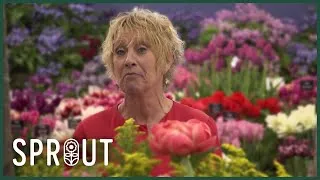 Thumbnail: Malvern Spring Gardening Show: Unique Plants, Inspiring Garden Ideas & Tips