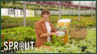 Thumbnail: Gardening Tips and Plant Inspiration for Every Season