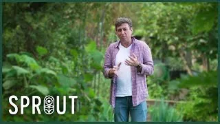 Thumbnail: Essential Gardening Tips for Healthy Plants, Soil & Pest Control