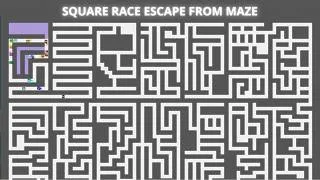 Thumbnail: Square Race: Escape the Maze | Who Will Reach the Exit First?