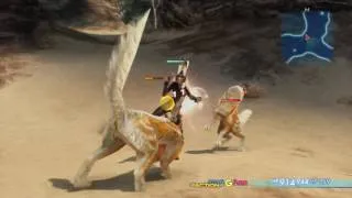 Thumbnail: FFXII- Unarmed (w/ and w/o brawler)