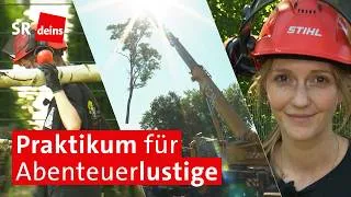 Thumbnail: Häckseln, Sägen, Tischlern: SR-Sommerpraktikum 2026 bei den Baumhelden