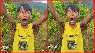 Thumbnail: Survival Skills: SMART idea and USEFUL with single mom in forest #bushcraft #camping #outdoors #idea