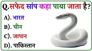 Thumbnail: GK Question || GK in Hindi || GK Question and Answer || Gk Quiz || SR GK STUDY