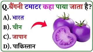 Thumbnail: GK Question || GK in Hindi || GK Question and Answer || Gk Quiz || SR GK STUDY