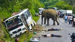 Thumbnail: Sires Of World Top 06 Unbelievable Elephant Attack 2026 NEW