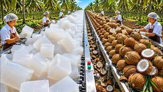 Thumbnail: How It's Made: Coconut Jelly and Candy Production Line