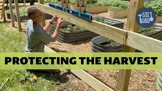Thumbnail: The Garden Was Under Attack... So I Built This