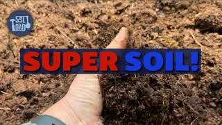 Thumbnail: Ultimate Cheap Raised Bed Soil Mix