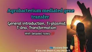 Thumbnail: Agrobacterium mediated transformation | T-dna transfer | Introduction | Octapine | Nopaline |
