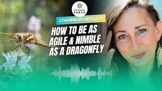 Thumbnail: How To Be As Agile & Nimble As a Dragonfly #channeledmessages #spiritualawakening #dragonfly