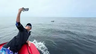 Thumbnail: Bottlenose Dolphin Selfie Mode ❤️🐬 #telepathy #animalcommunication