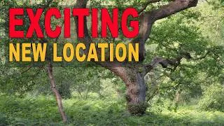 Thumbnail: Exciting New Location for Landscape Photography