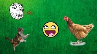 Thumbnail: Comedy Football ● Funny Animals Pitch Invaders