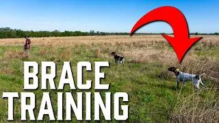 Thumbnail: Master Hunter Brace Training | Watch Cass and Vail Train