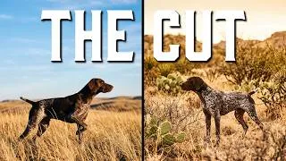 Thumbnail: 242. Picking Our Fall String: The Dogs That Made The Cut
