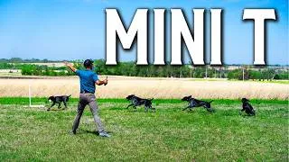 Thumbnail: The Road To Blind Retrieves with Thunder