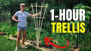 Thumbnail: DIY Garden Trellis // EASY Woodworking Project