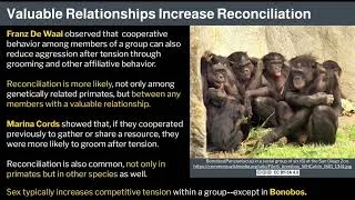 Thumbnail: 23. Violence and its Antidotes 1 by Robert Sapolsky