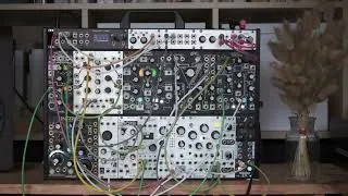 Thumbnail: Eurorack Generative Patch // Plaits as the only voice // Modular Synth