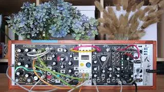 Thumbnail: Strange Flowers // Generative Eurorack