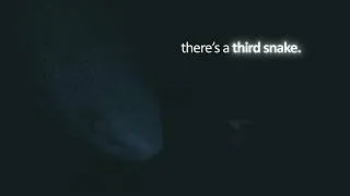 Thumbnail: odd and obscure things in sekiro