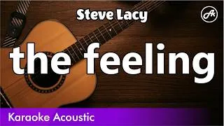 Thumbnail: Steve Lacy - the feeling (acoustic karaoke)