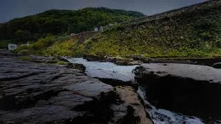 Thumbnail: Relaxing Stream Sounds with Rain Noise and Distant Thunder | Soothing Water Sounds for Sleep