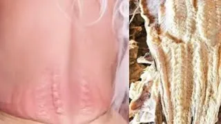 Thumbnail: KIM KARDASHIAN THE DRIED-UP SALT FISH!