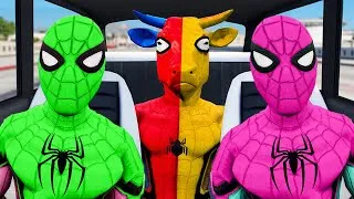 Thumbnail: Cow Spider-Man Dance With Red Car Drive ► Rainbow Spiders Chase Cows Superhero Funny Cartoon Game Ne