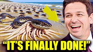 Thumbnail: Everyone Mocked Florida for Releasing Thousands of Snake-Killing Creatures —