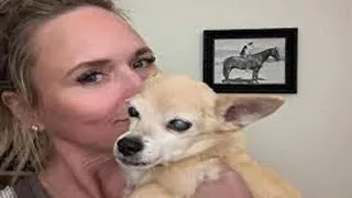Thumbnail: Miranda Lambert Honors 15 Years With Her Beloved Chihuahua Sher